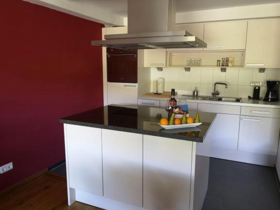 Apartment with Lake View (refurbished)